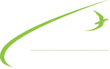כנפית